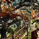 Illustration for article titled 13 Ingenious Treehouses That Go Out on a Limb